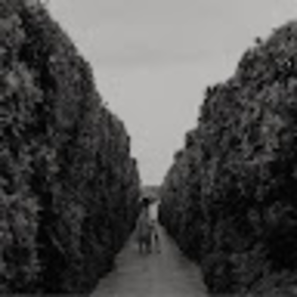 Meet your Posher, Bri